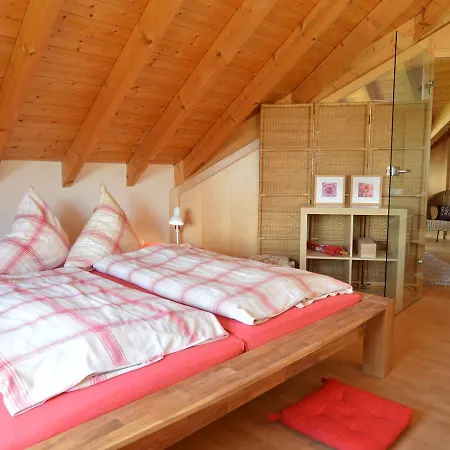Comfortable Villa In Speicher Eifel With Sauna Speicher